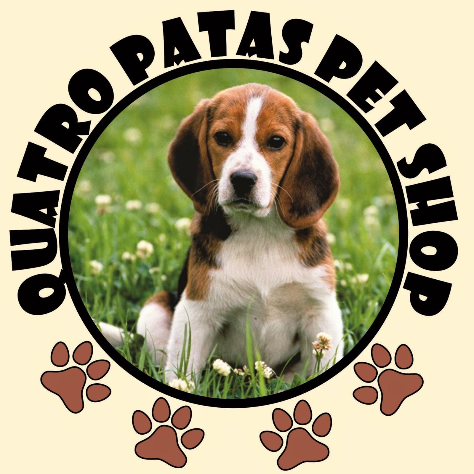Four Paws Pet Shop - Foto 2