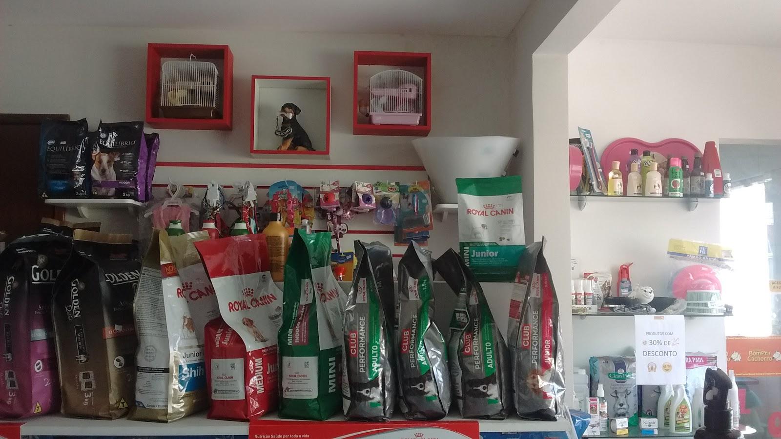 Pet Supplies For Dogs