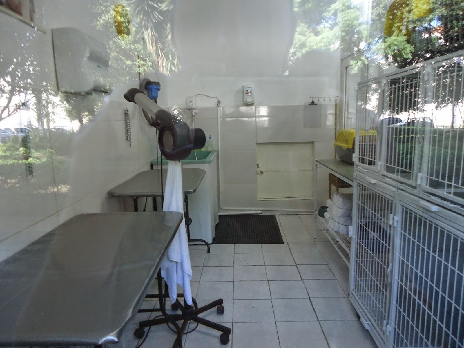 Pet Shop Bicho Bacana - Pet Shop em Porto Alegre
