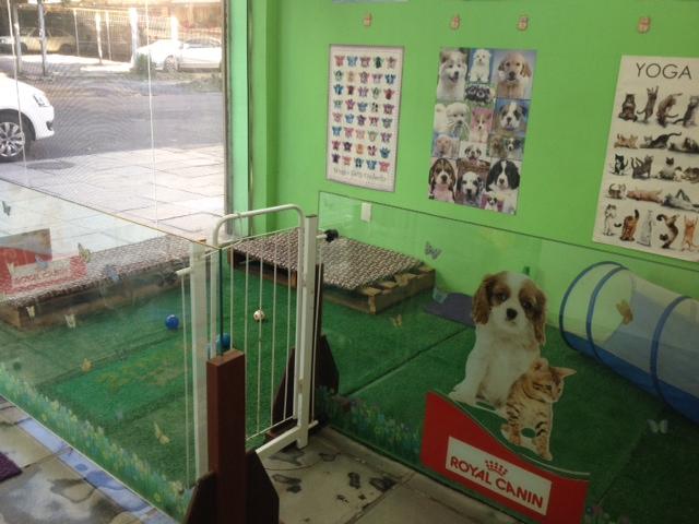 Studio Pet Produtos e Serviços Ltda - Foto 3
