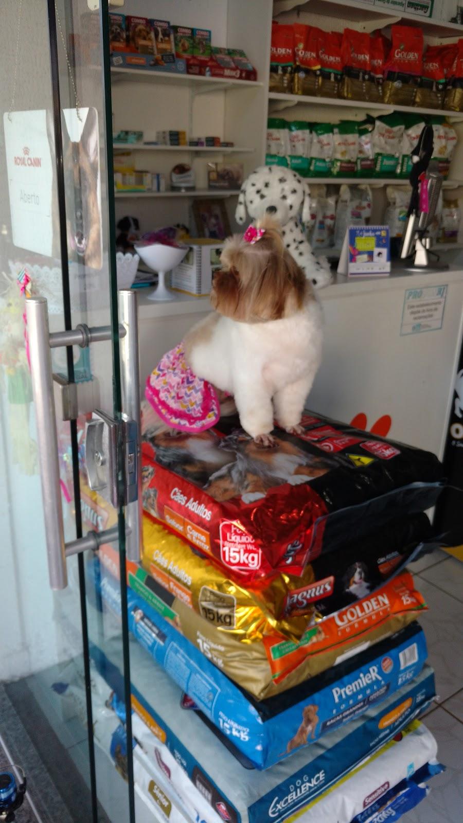 Pet Shop Turma da Lolla