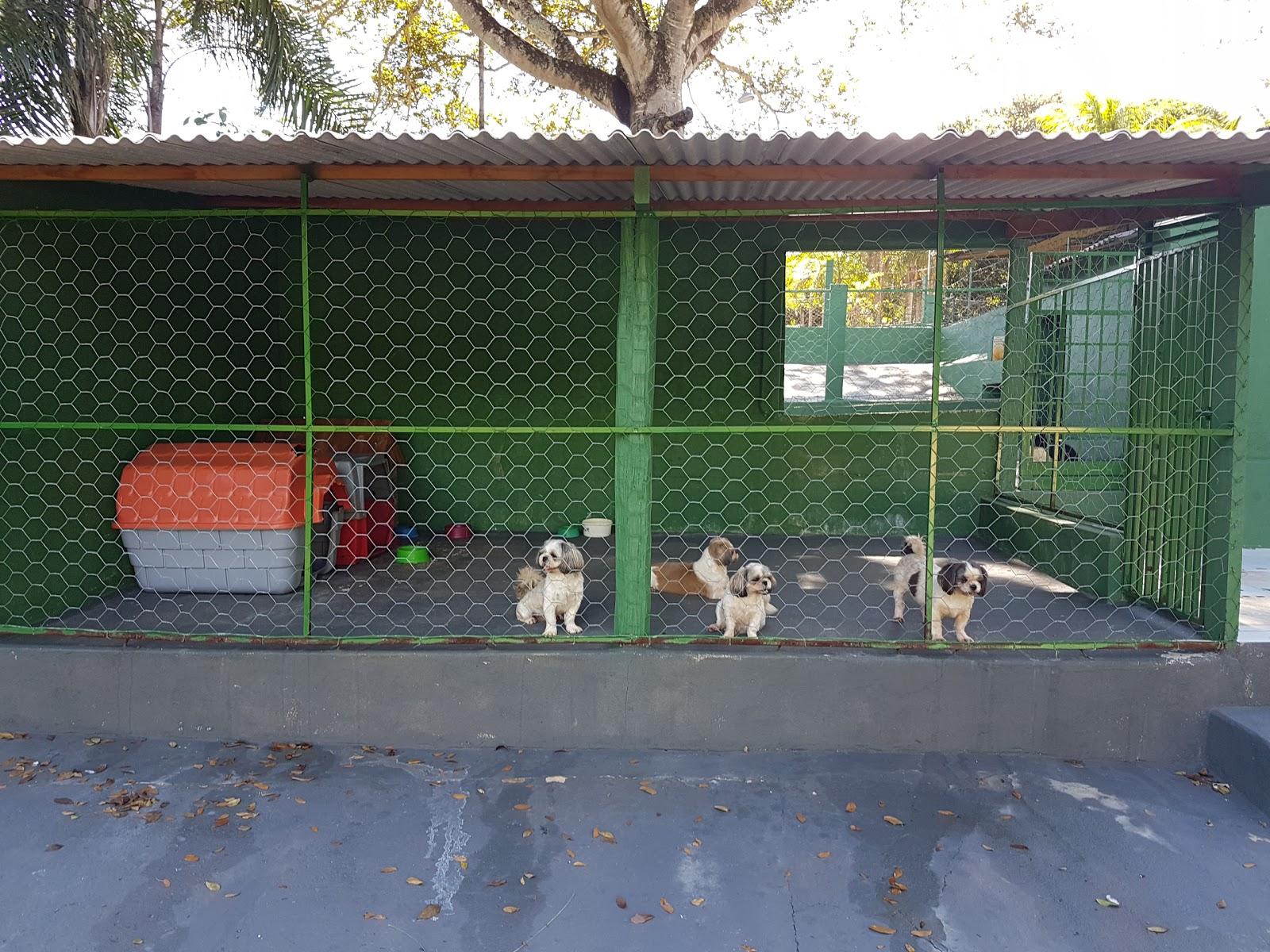 Canil Caovivência e Pet Shop