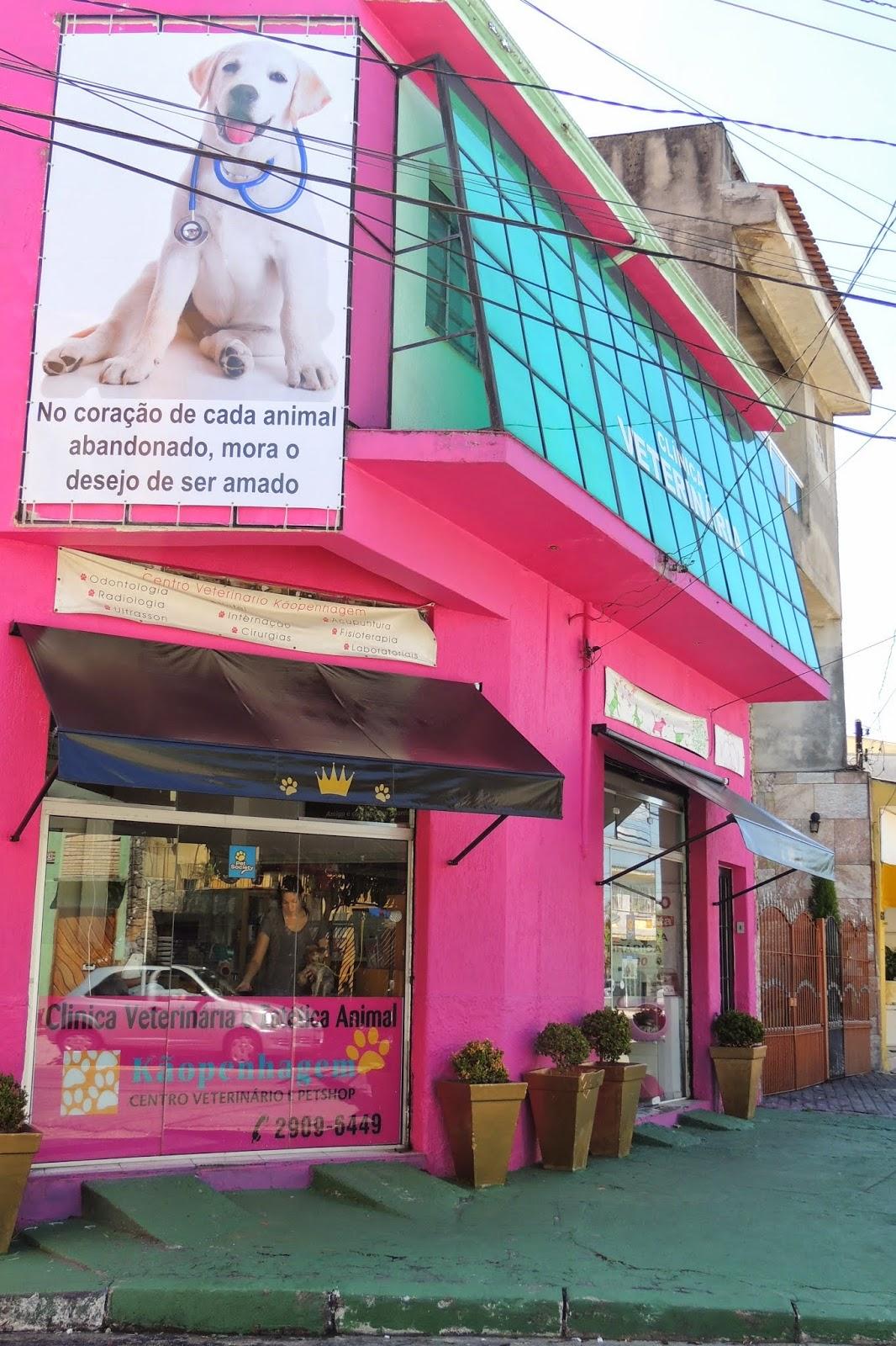 Dra Daniela Veterinária