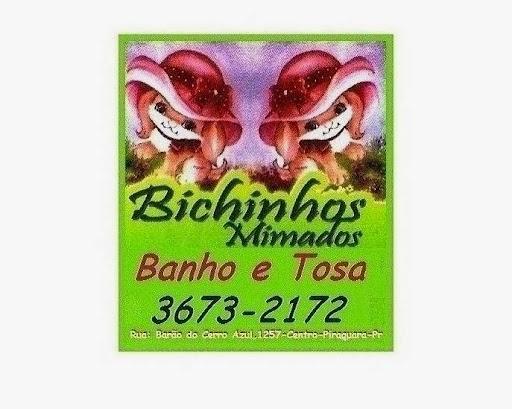 Bichinhos Mimados Banho e Tosa