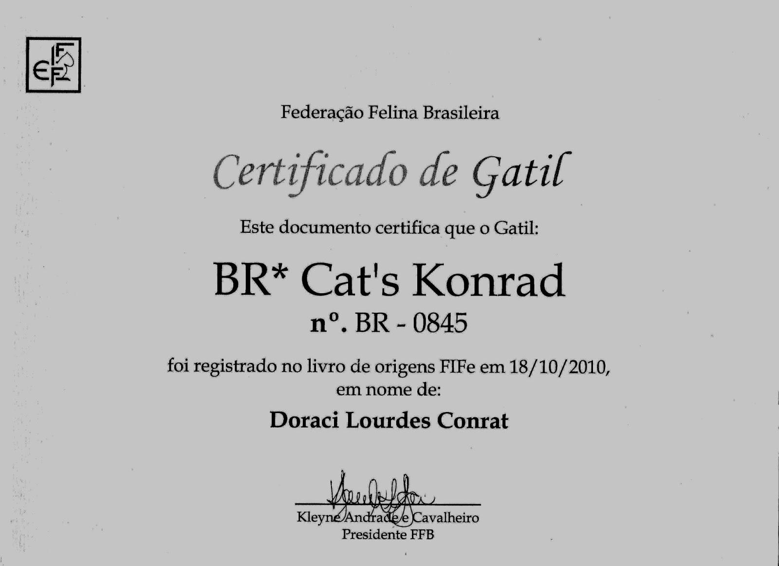 Gatil Cat's konrad