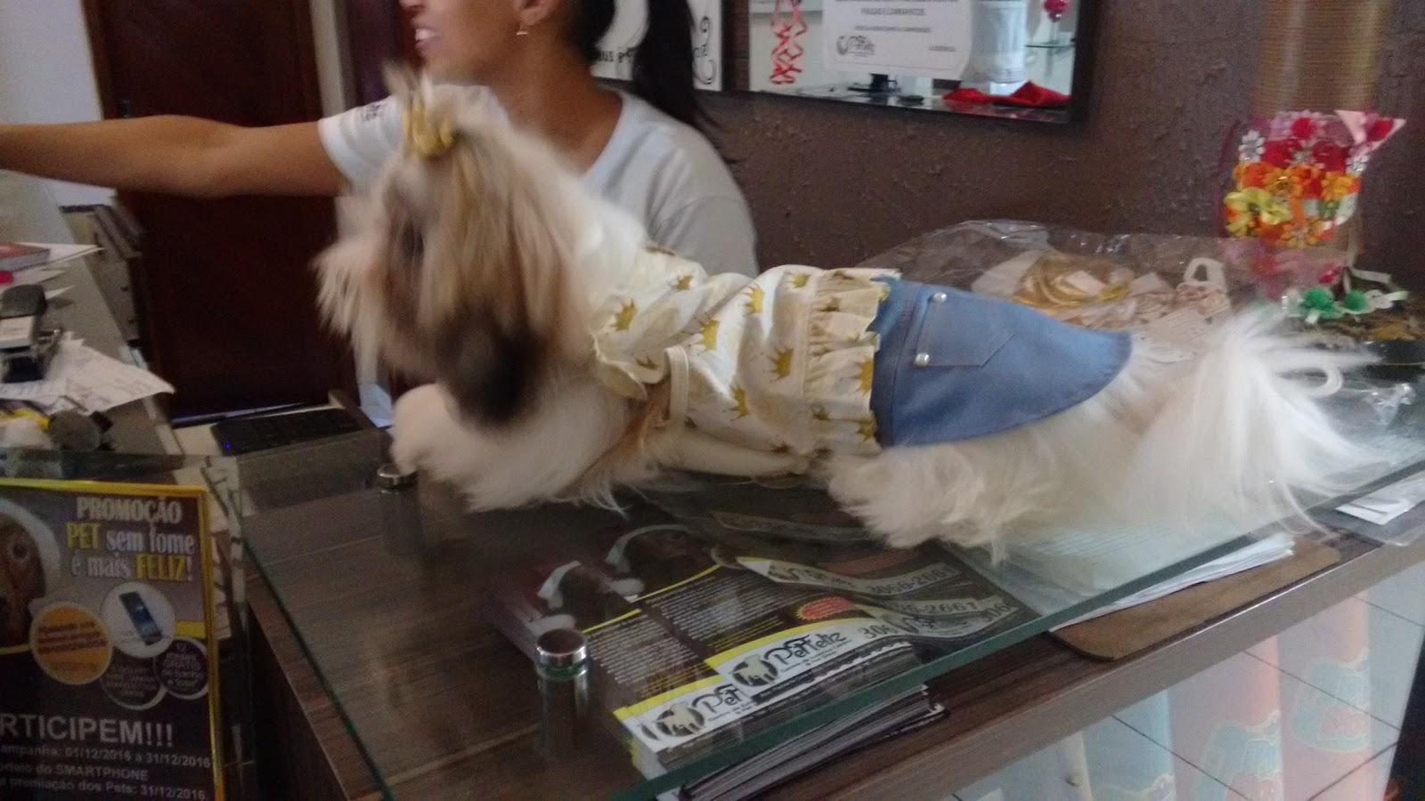 Happy Pet - Pet Shop