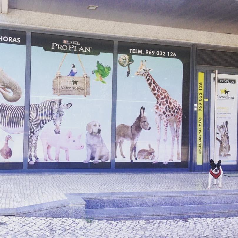 VETCONDEIXA SERVÍÇOS VETERINÁRIOS LDA.