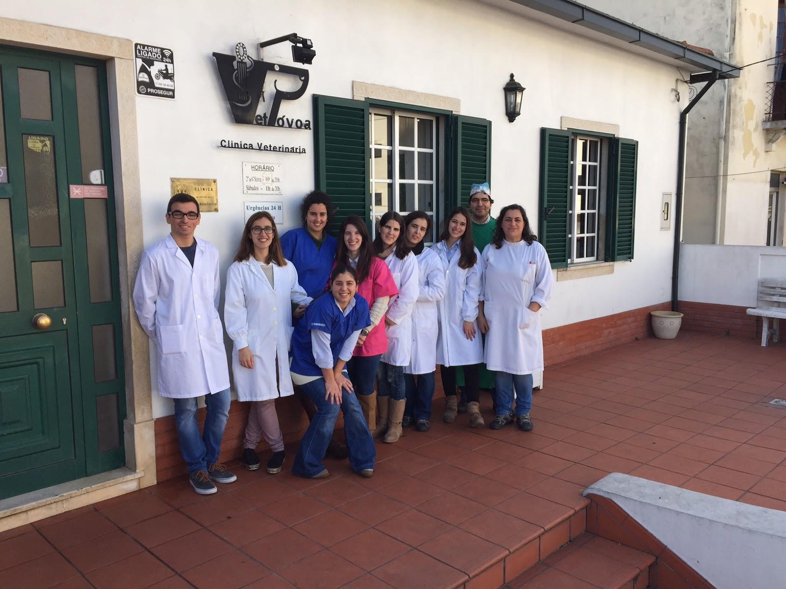 Vet Póvoa Clínica Veterinária - Foto 4