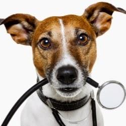 Centro Veterinário de Vilarinho