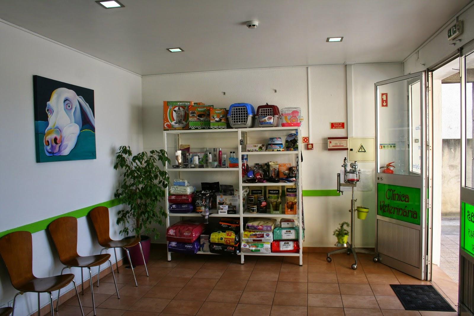 Oficina Dos Animais - Clínica Veterinária Lda - Foto 2