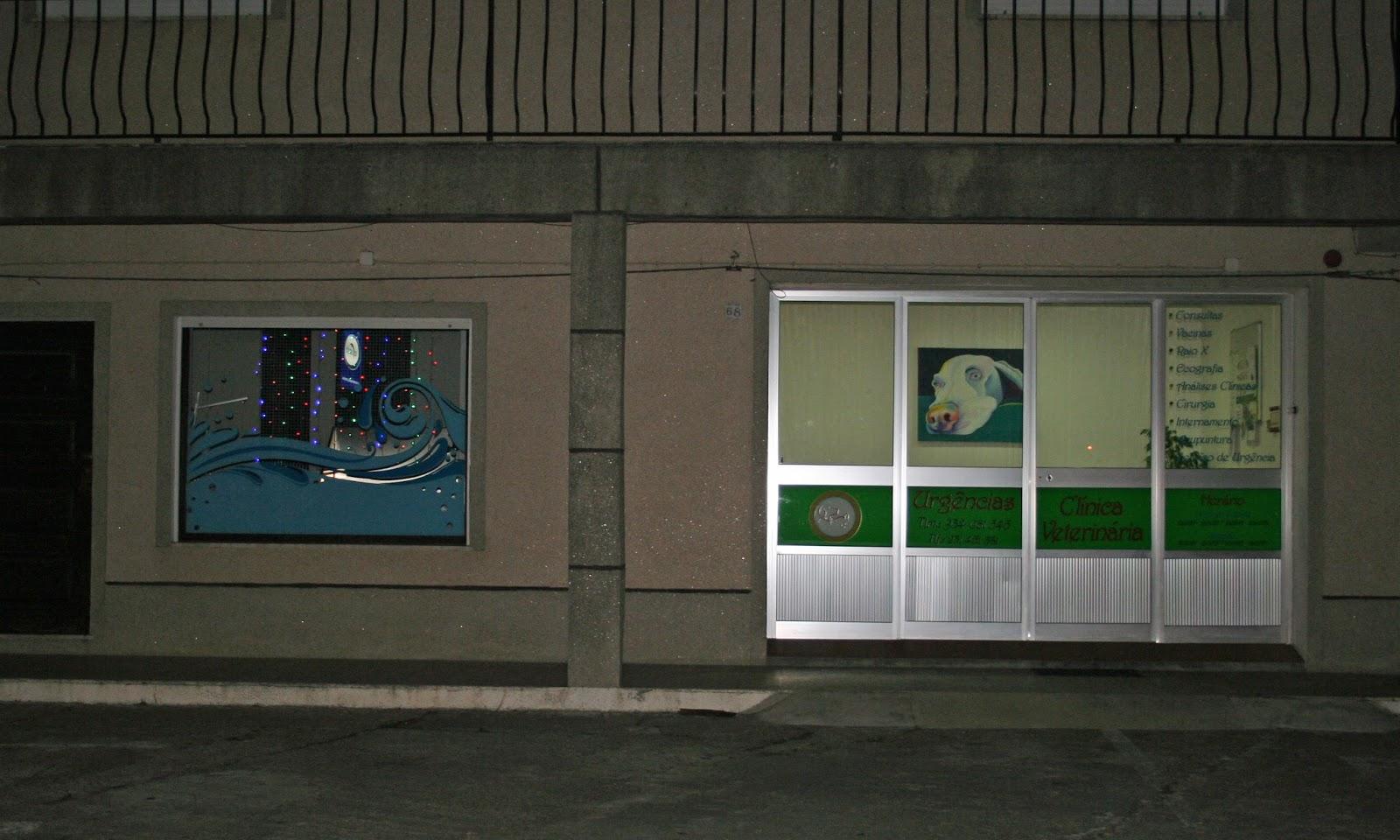 Oficina Dos Animais - Clínica Veterinária Lda - Foto 5