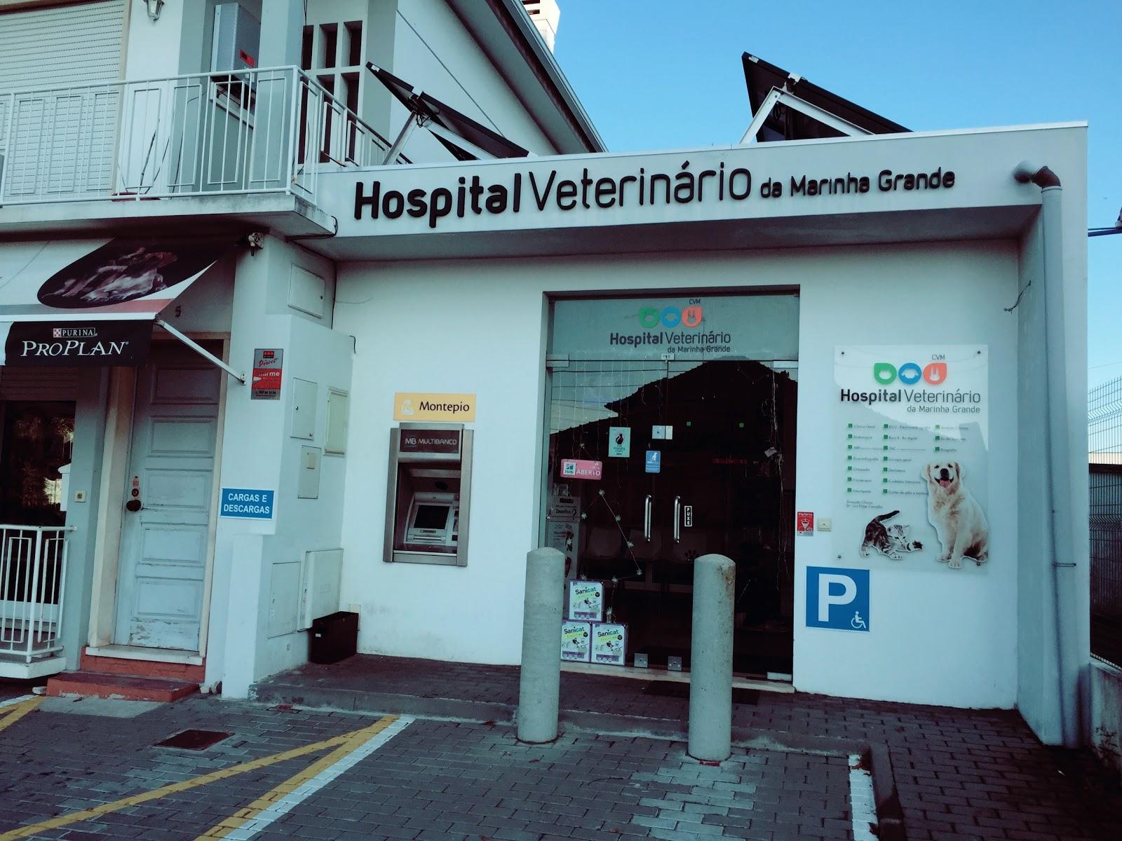 HVMG - Hospital Veterinário da Marinha Grande