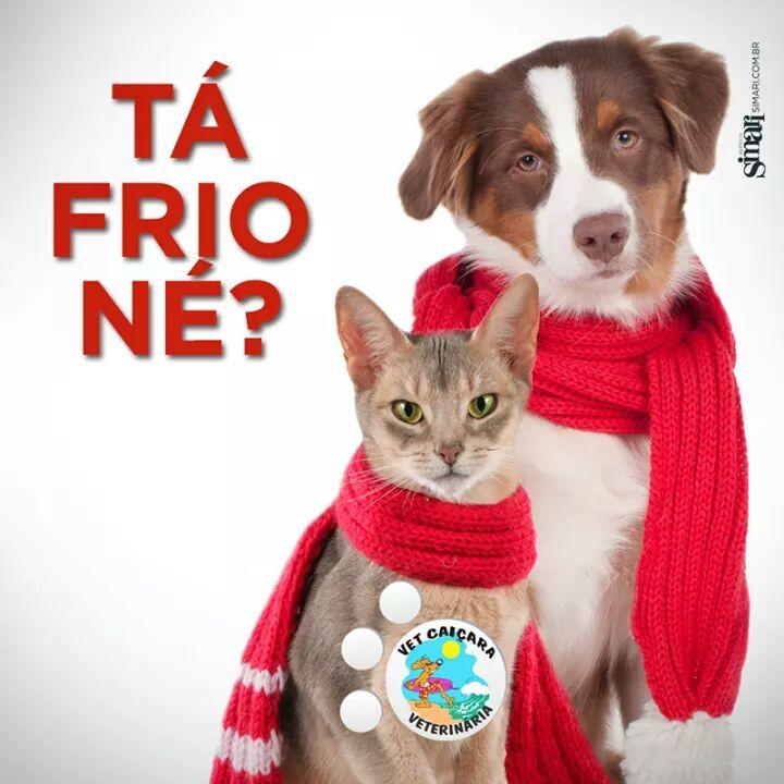 CLÍNICA VETERINÁRIA VET CAIÇARA