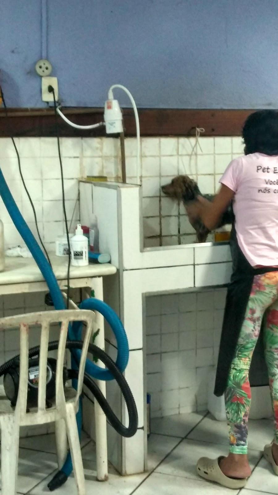 Nippon Pet Center - Banho e Tosa