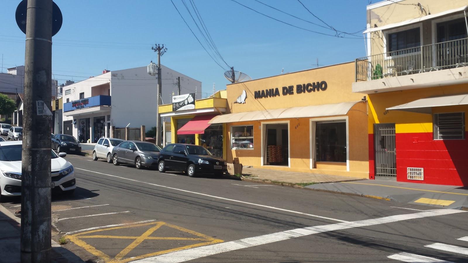 Mania de Bicho - Foto 2