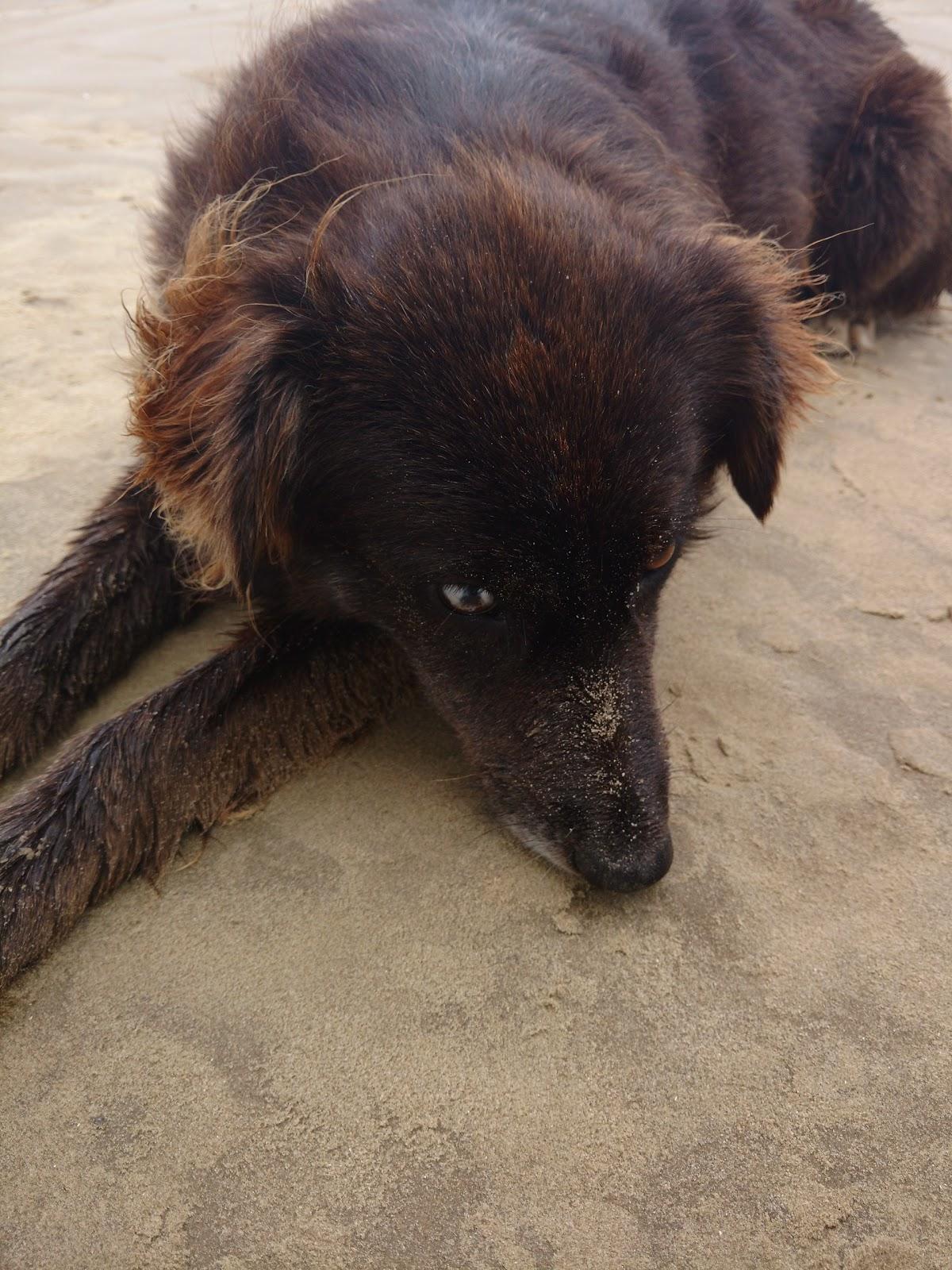 Diagnóstico por Imagem Stella Falkenberg Rausch