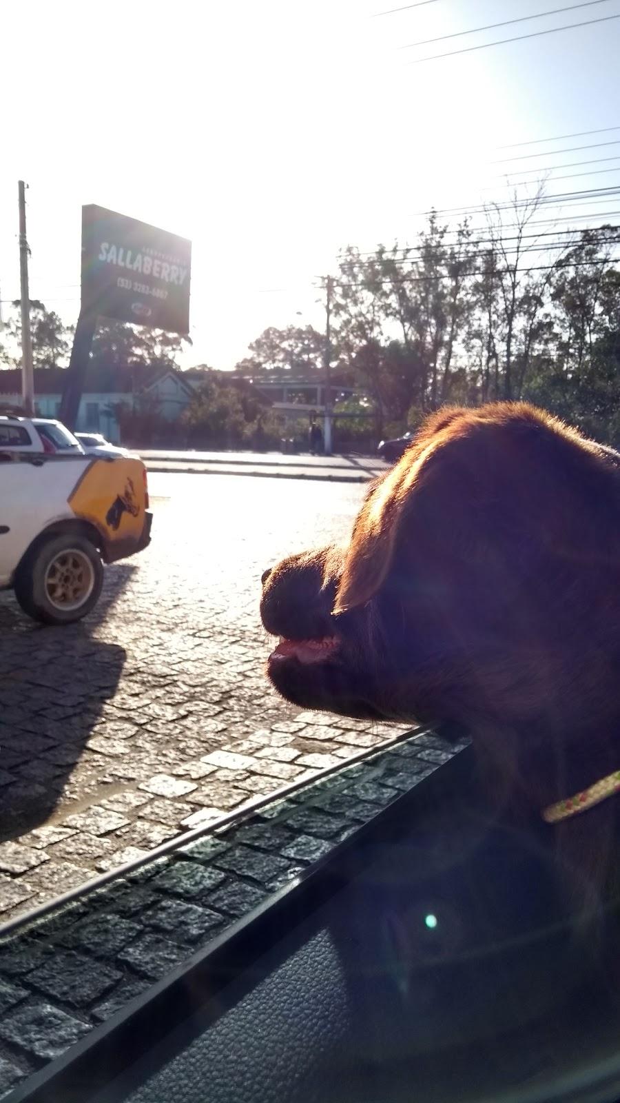 Sallaberry Produtos Veterinários e Ferragem