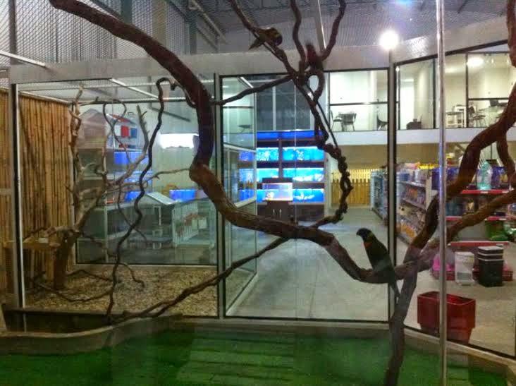 Villa Animal Pet Shop e Clínica Veterinária