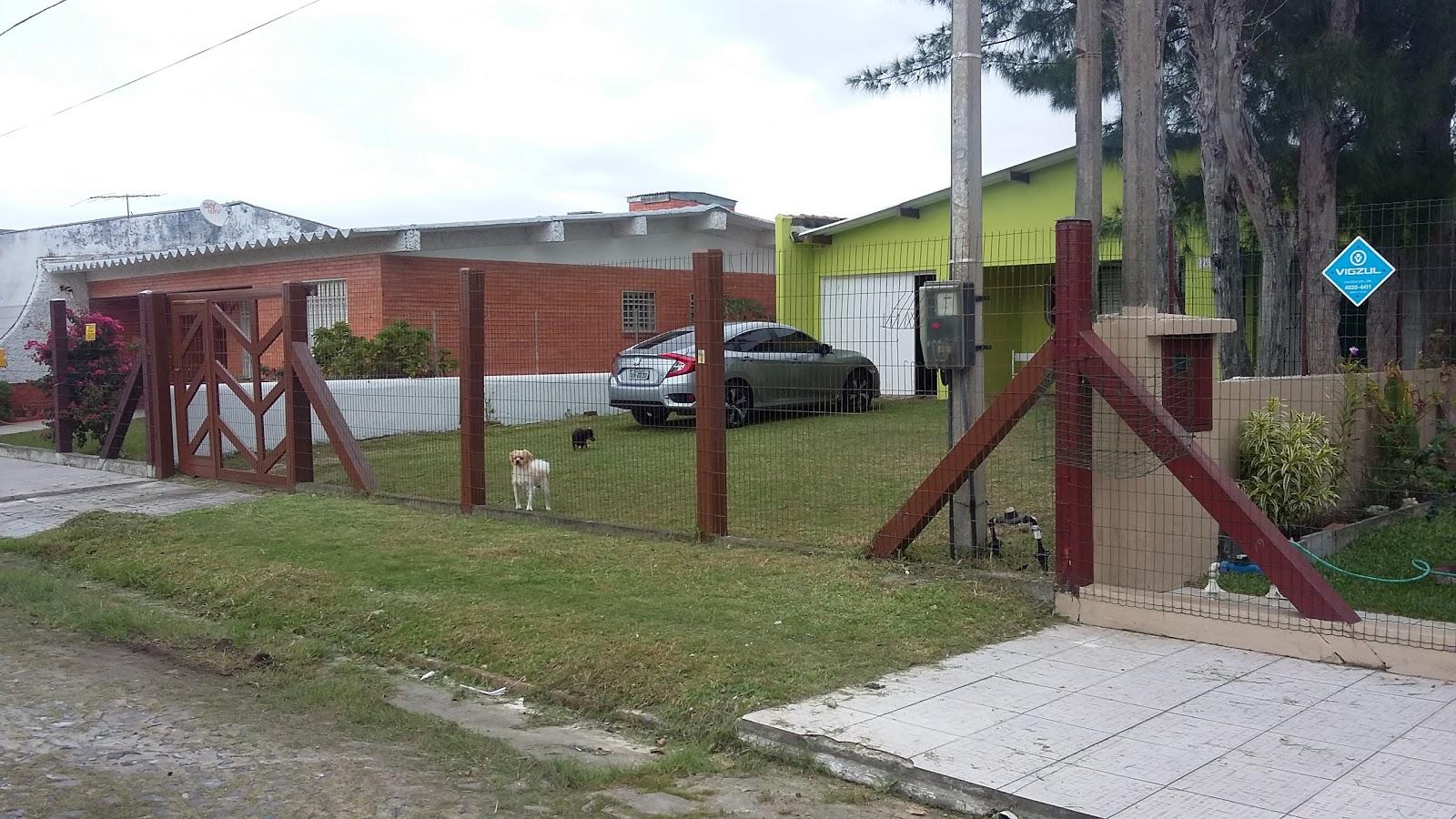 Só Patas Pet Shop e Estética Animal