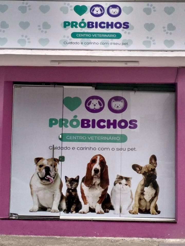 Pró-Bichos - Foto 3