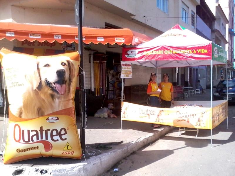 Cão Amigo - Foto 2