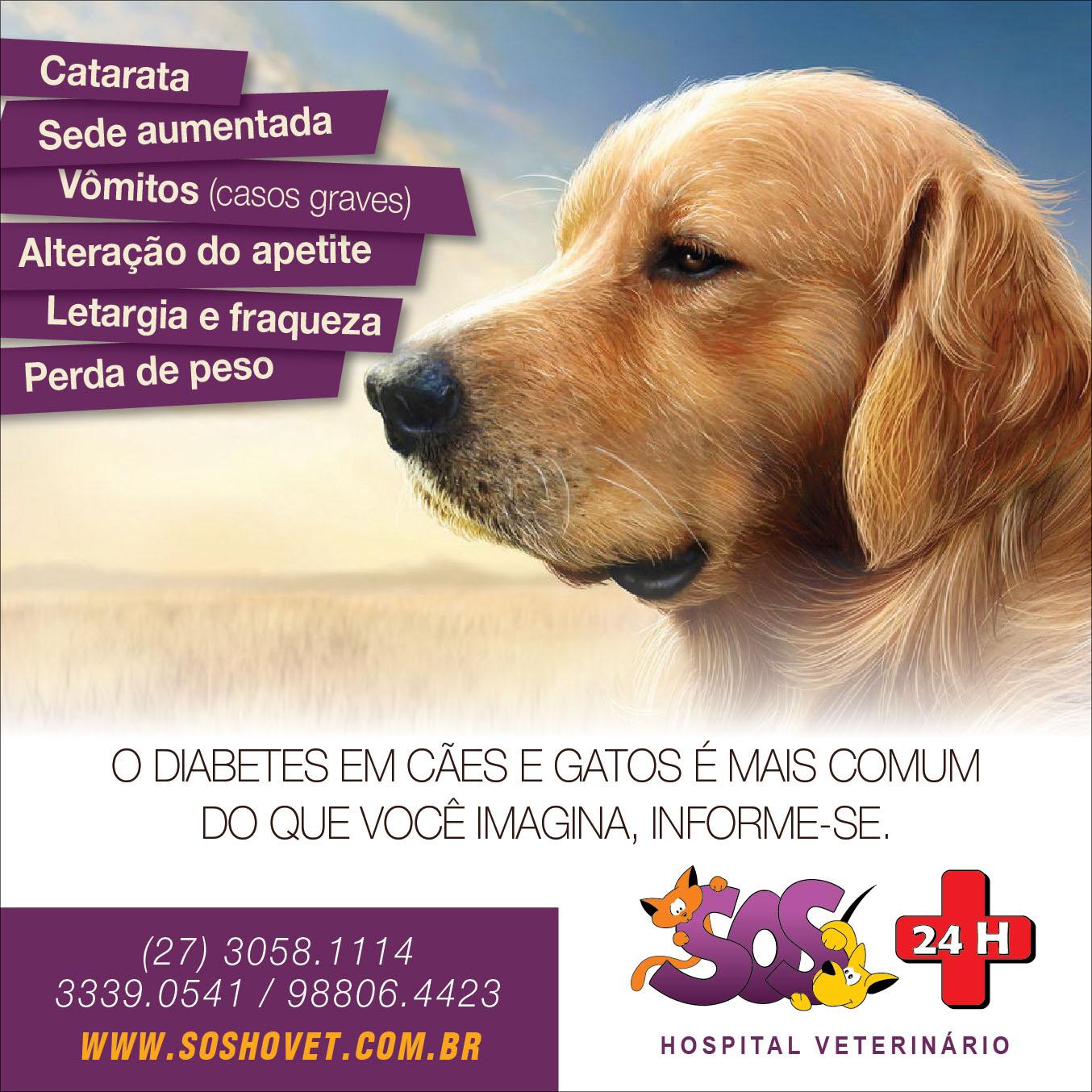 SOS Veterinary Hospital 24 hours