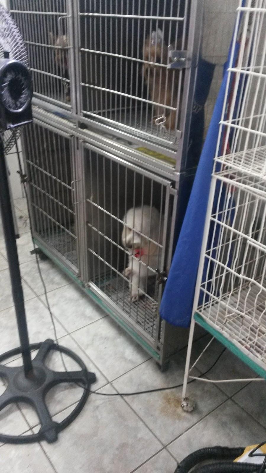 Pet Point Rações e Produtos Veterinários Ltda ME