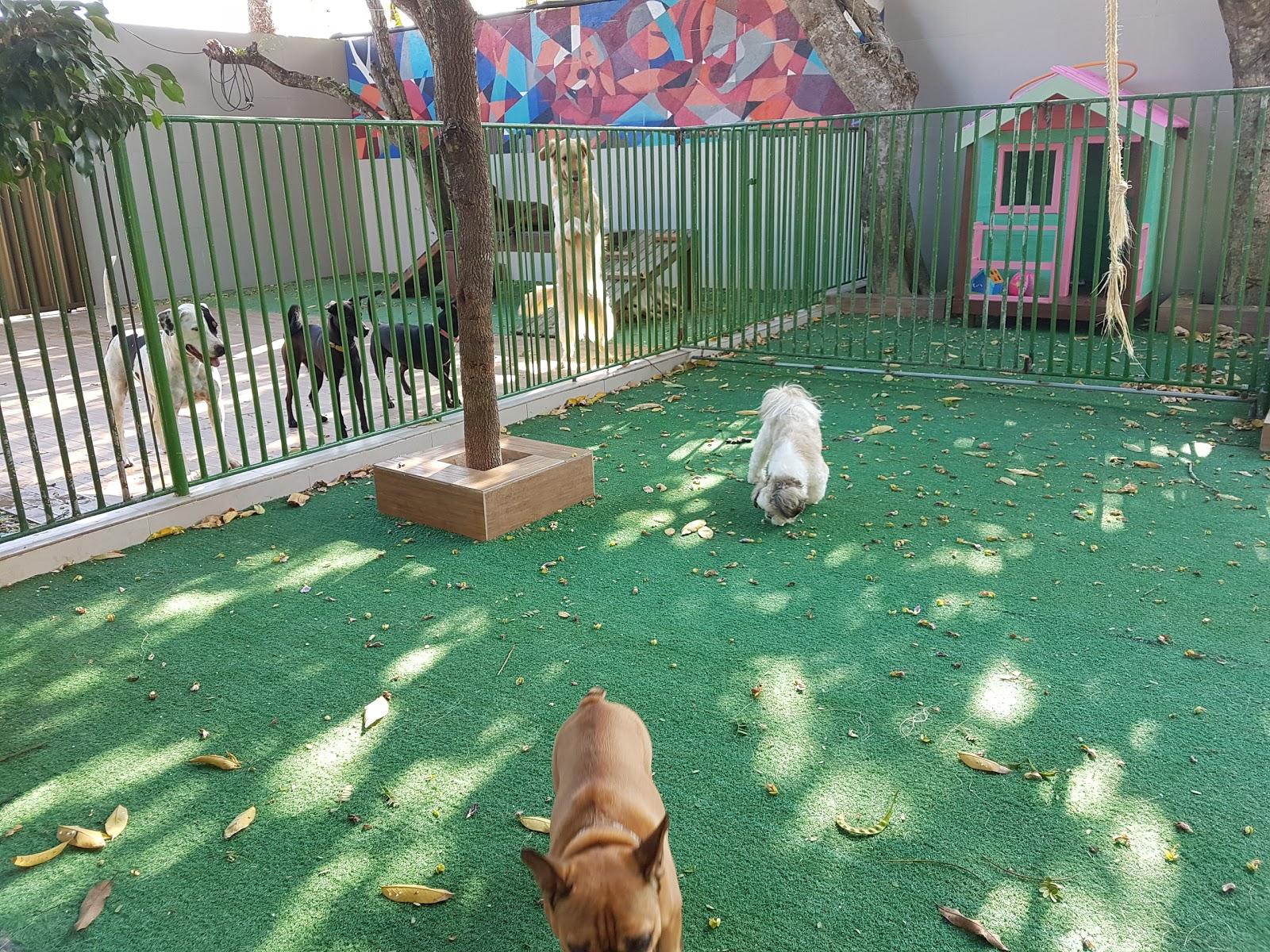 Pet Park - Foto 5