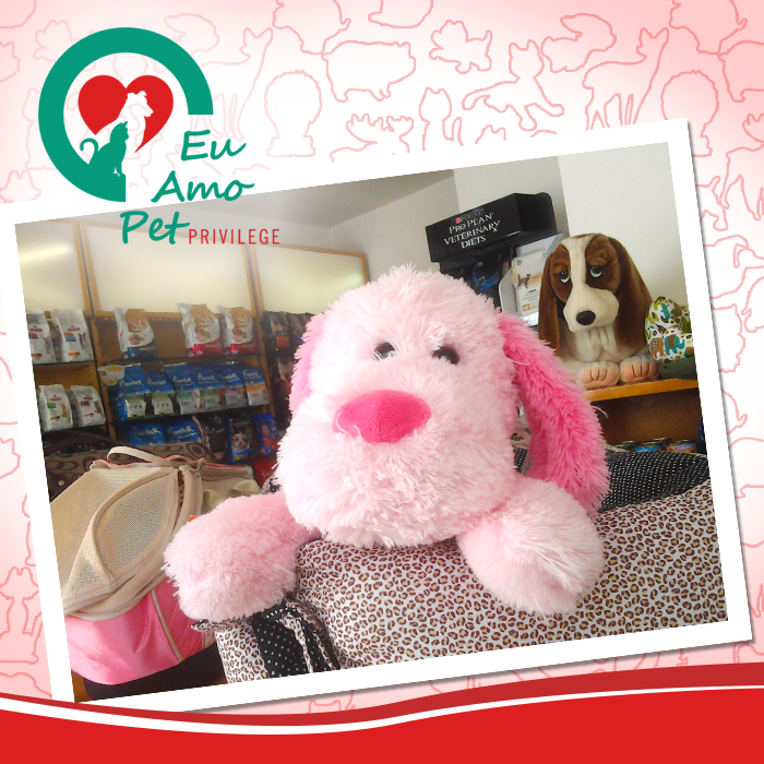 Eu Amo Pet Privilege - Foto 4