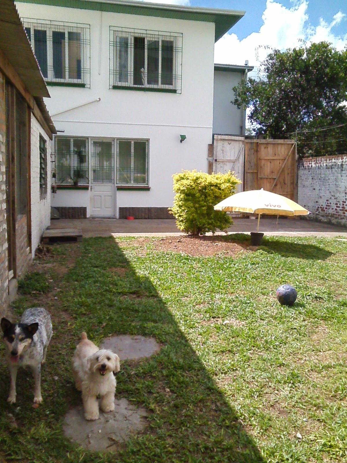 Luluzinha Veterinária