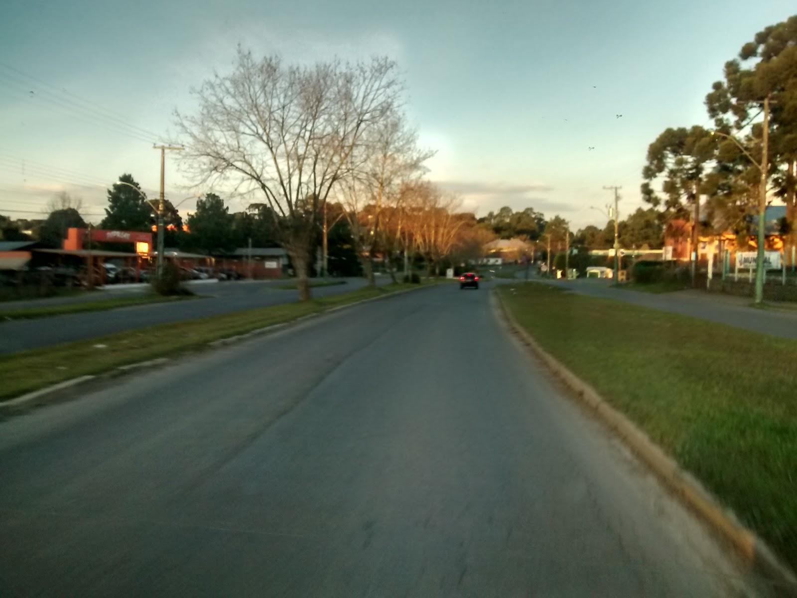 Pet Center - Foto 3
