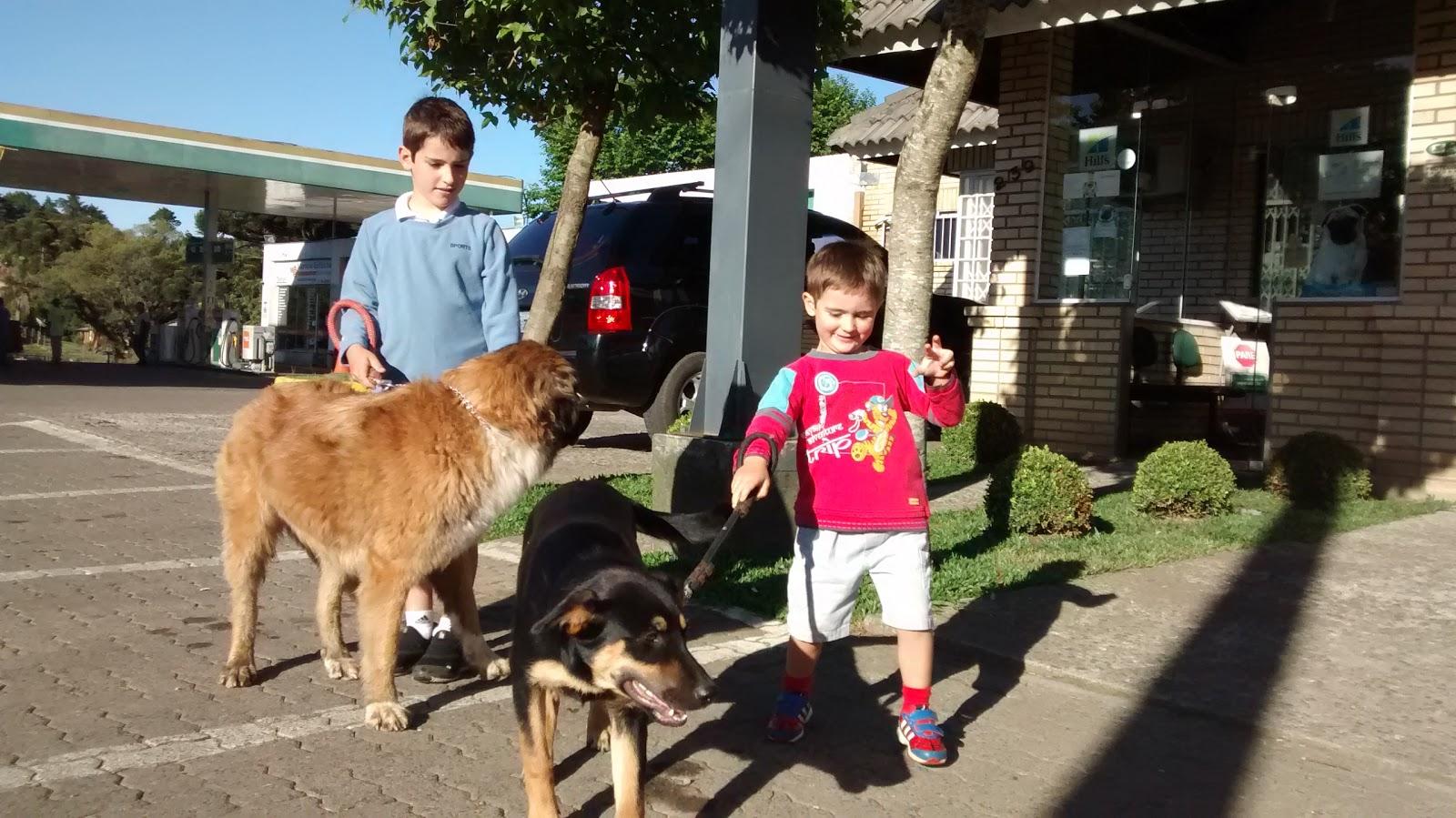 Pet Center - Foto 4