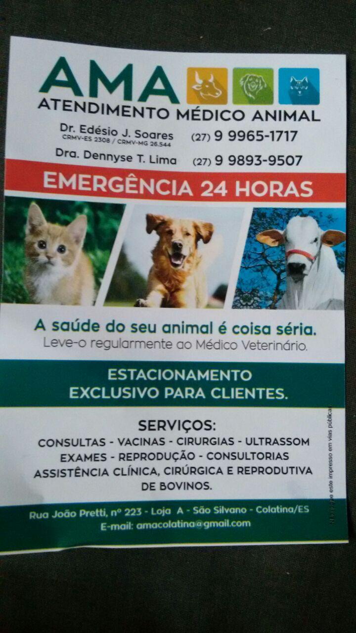 Clínica Veterinária AMA