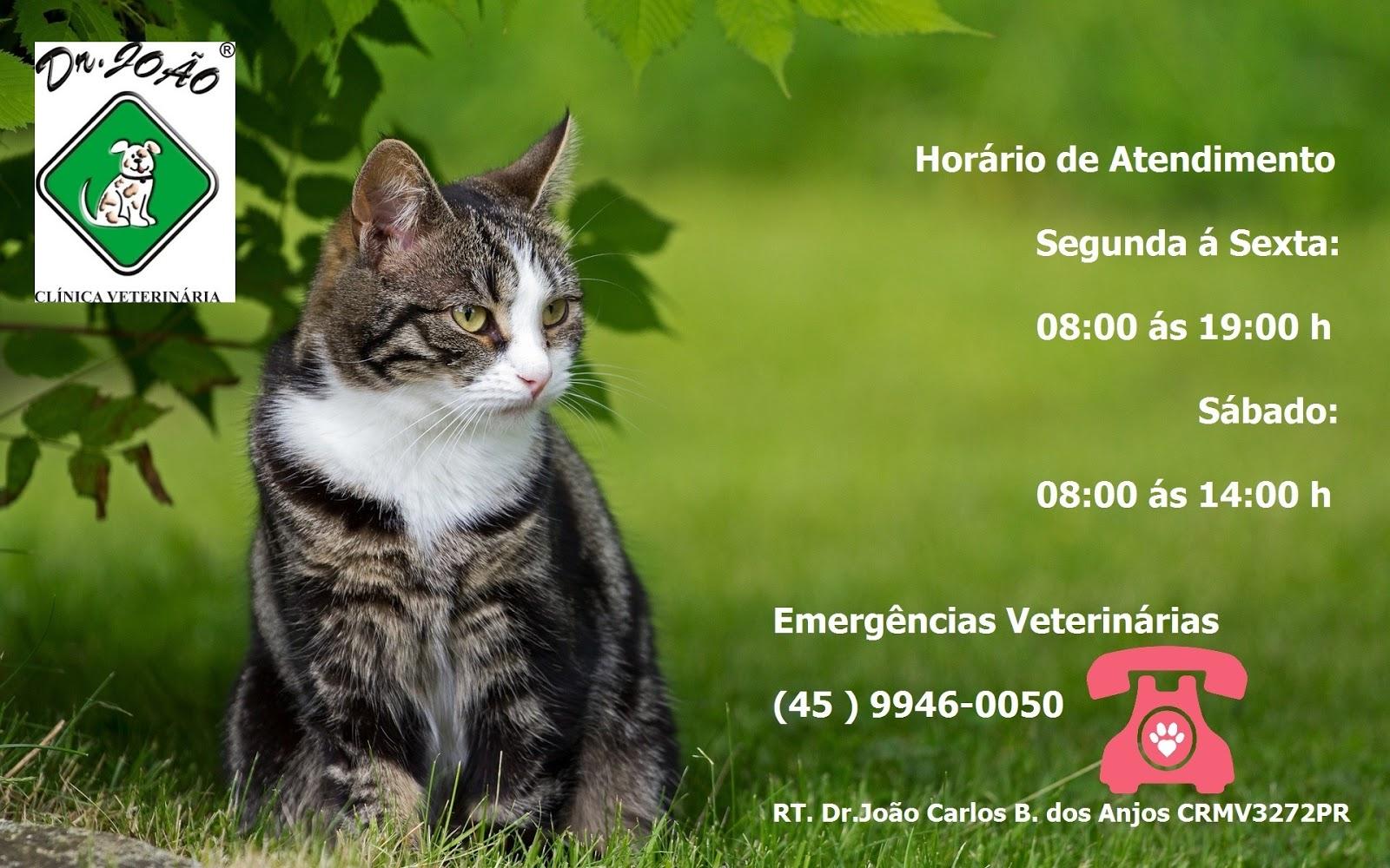 Clinica Veterinaria Dr João