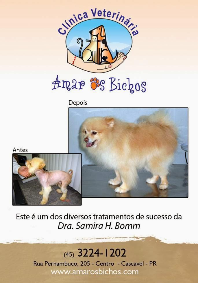 Amar os Bichos - Clinica Veterinária