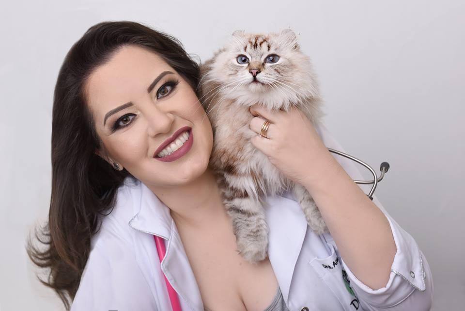 Di Gatto Veterinary Clinic of Felines