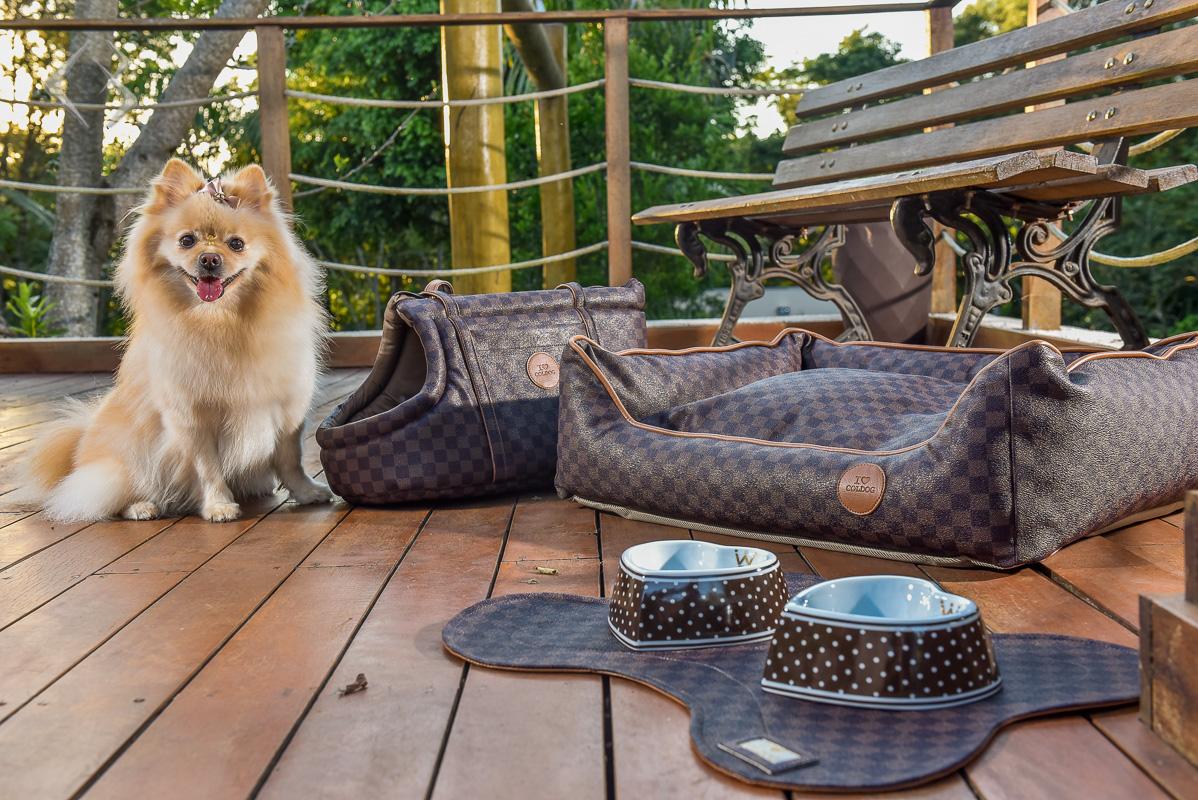 Pet Free Cascavel - Foto 5