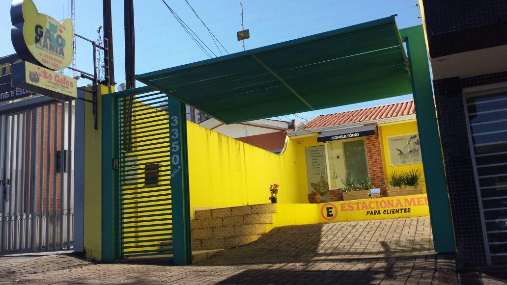 Só Gatos Veterinária