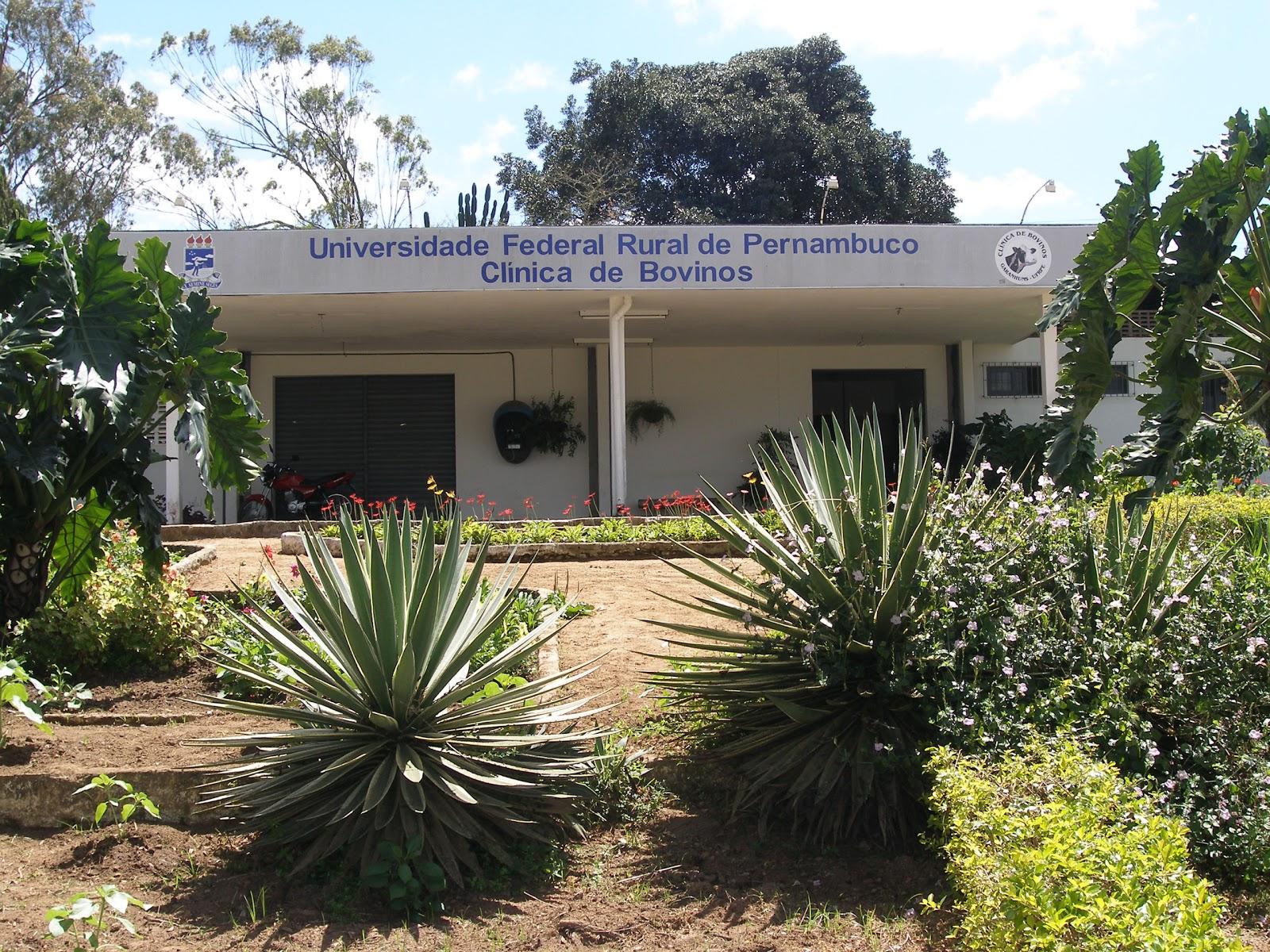 Clínica de Bovinos de Garanhuns - UFRPE