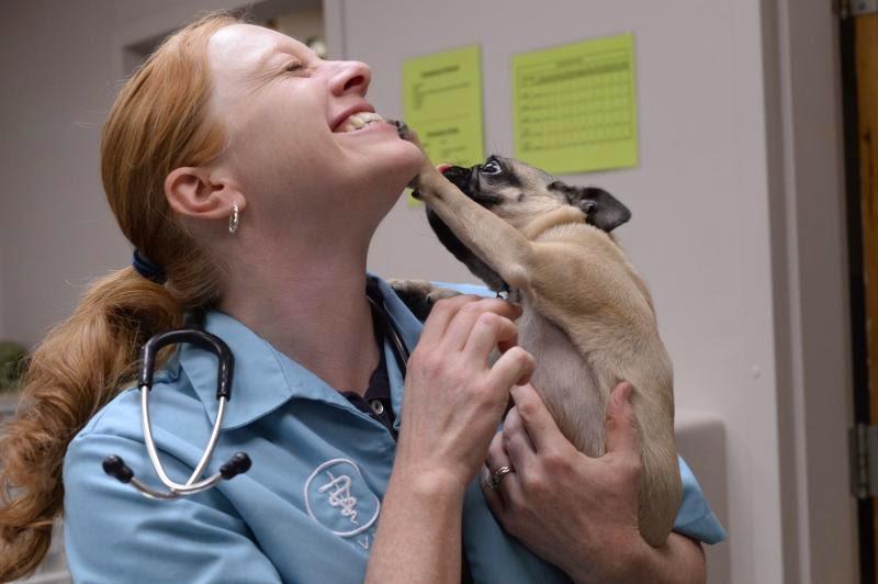 Nutley Animal Hospital - Foto 5