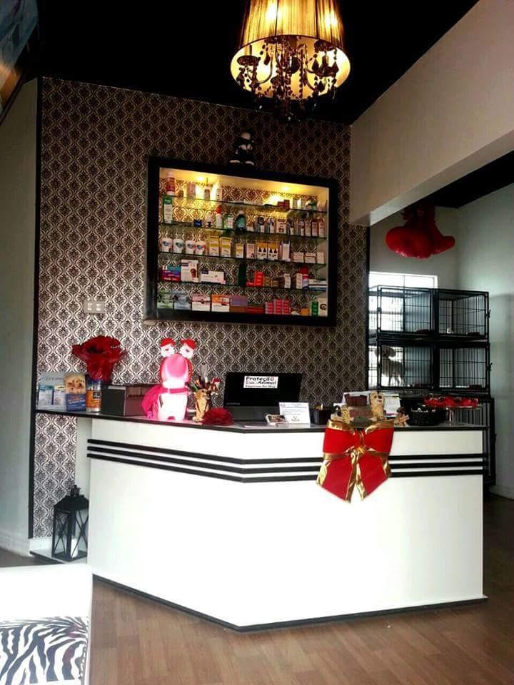 Pet Shop Emporium Pet