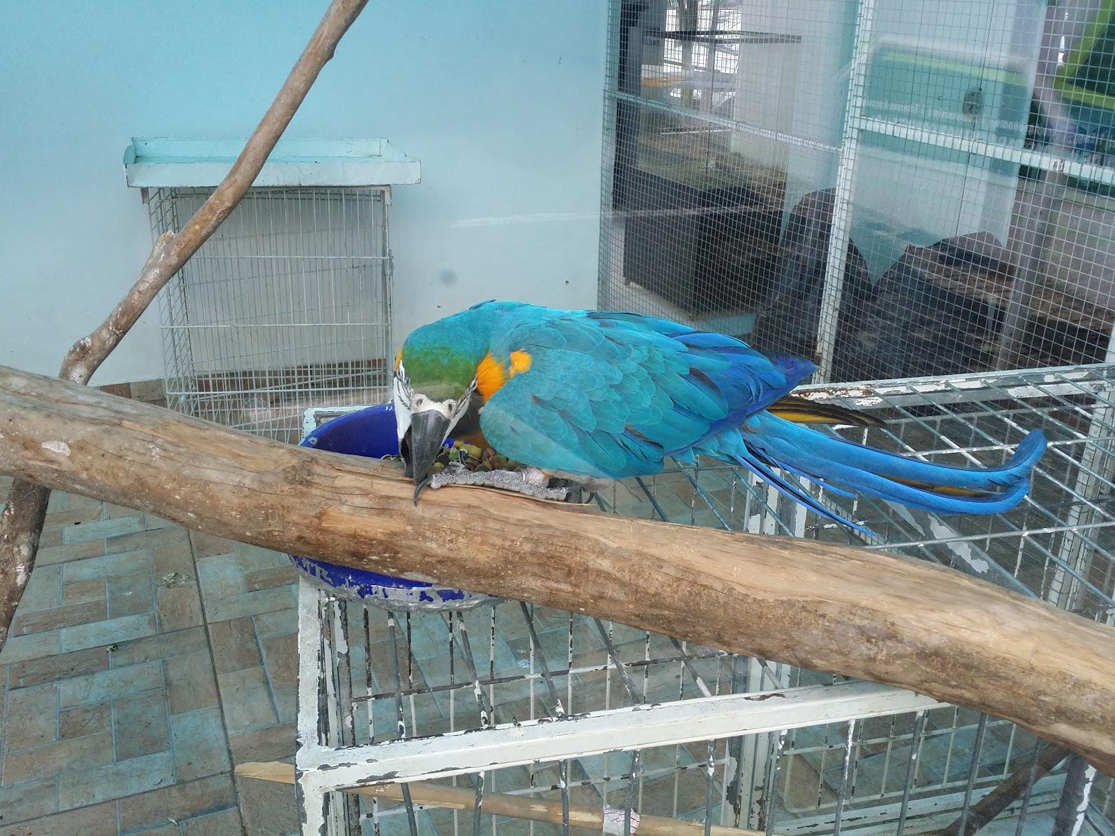 Agropecuária Criativa