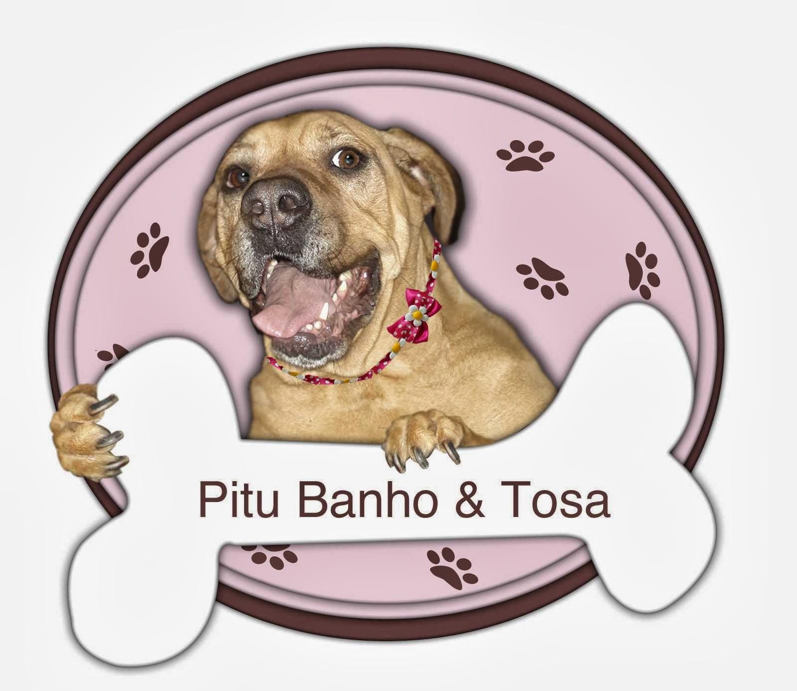 Pitu Banho & Tosa
