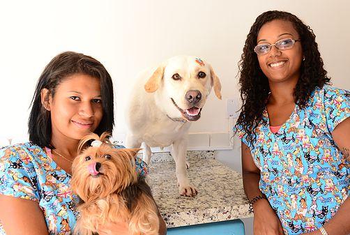 Petclin Macaé - Foto 5