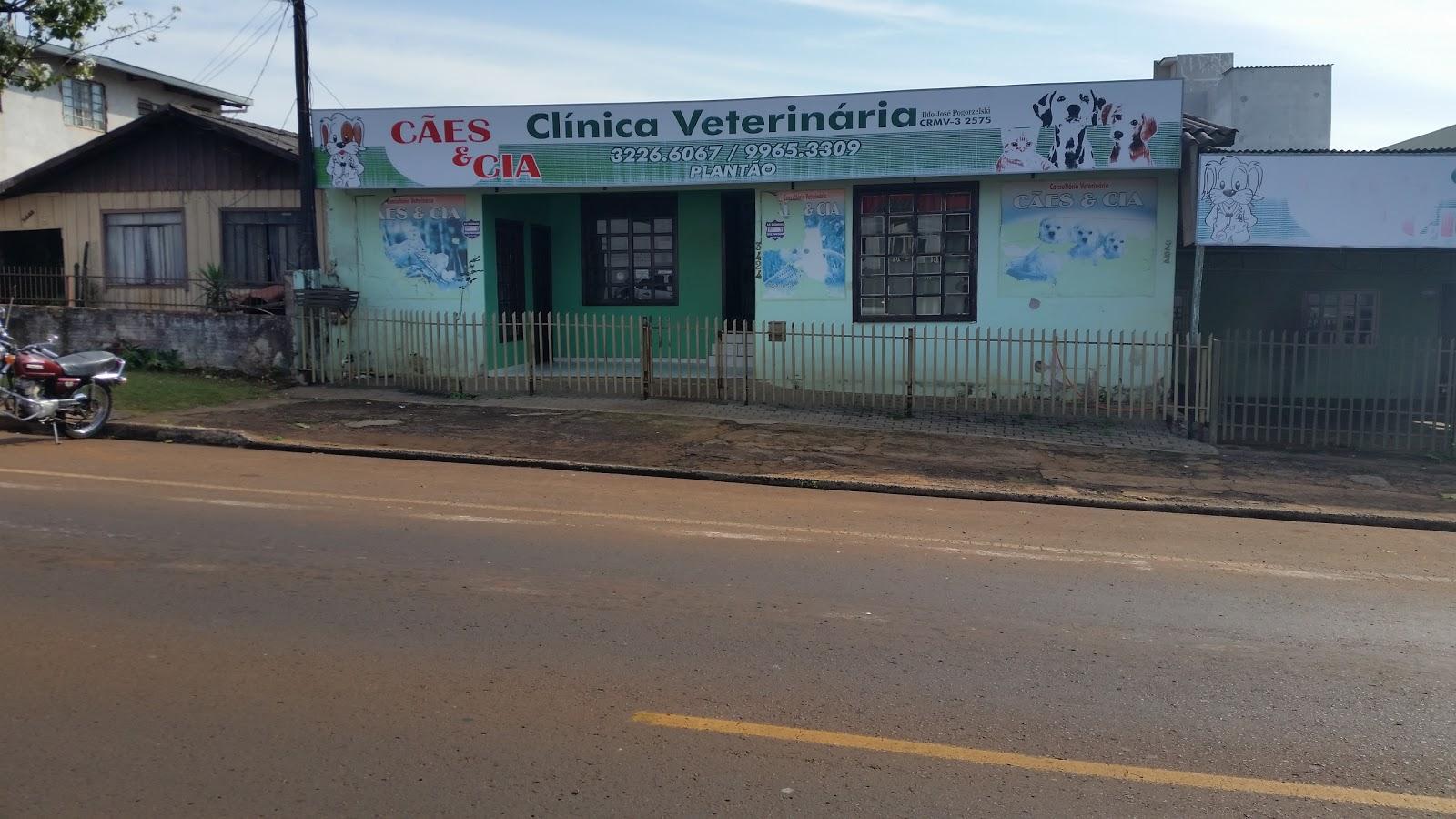 Dogs Veterinary Clinic & Co.