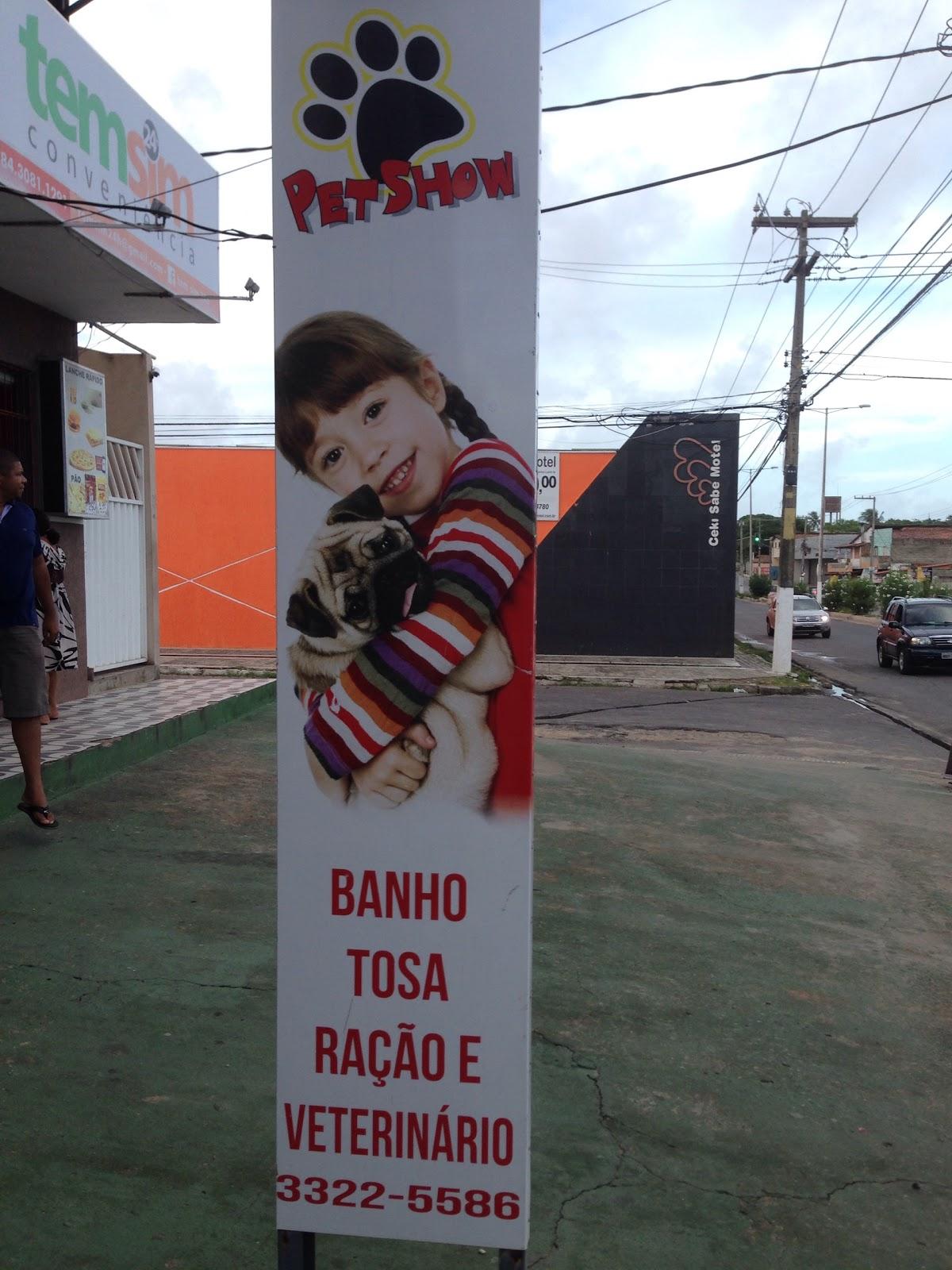 Pet Show - Foto 4