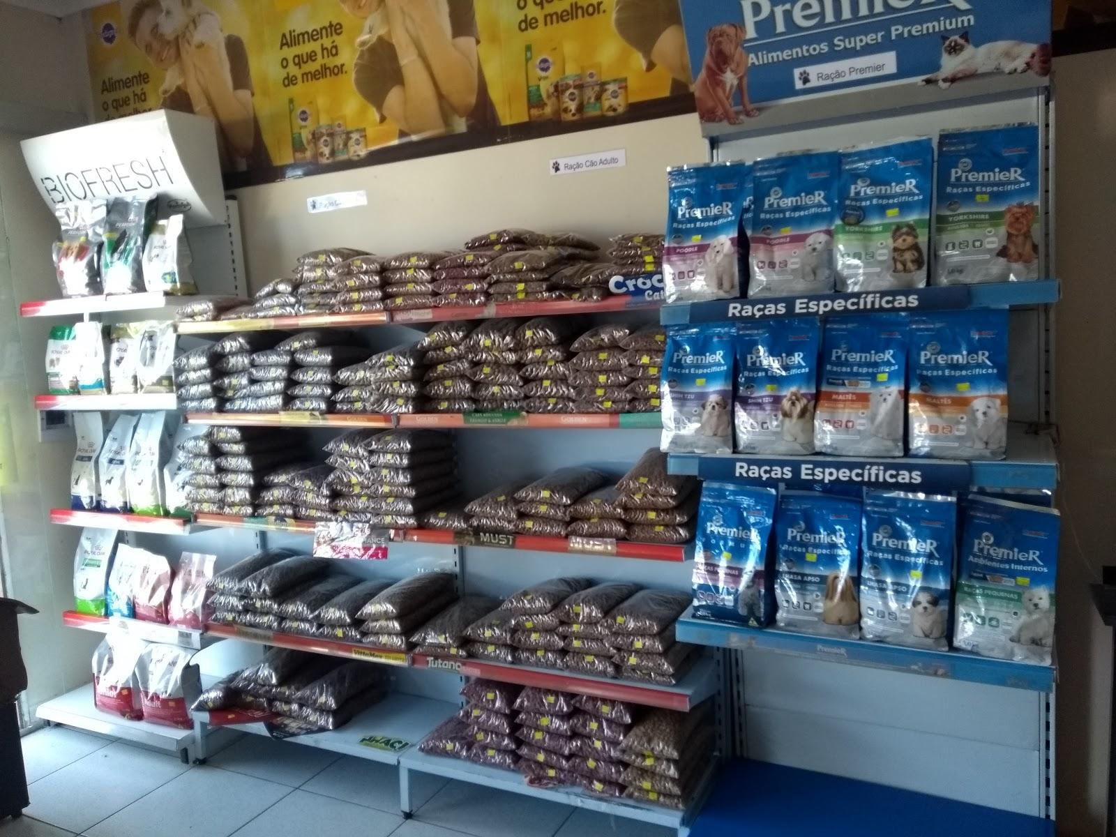 Pet Show - Foto 3