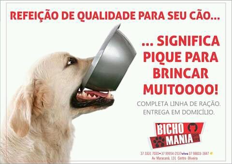 A Bicharada - Foto 5