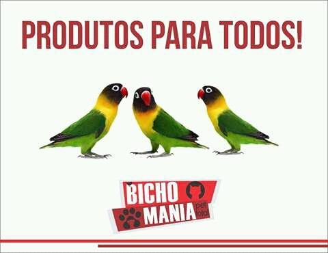 A Bicharada - Foto 3