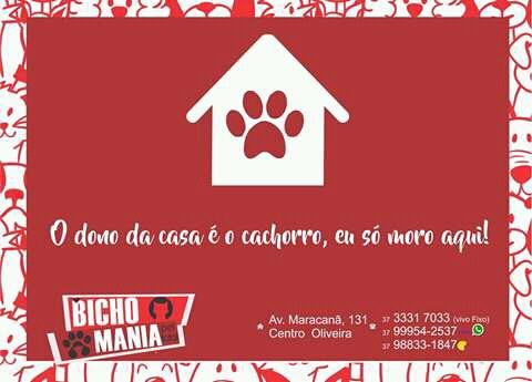 A Bicharada - Foto 4